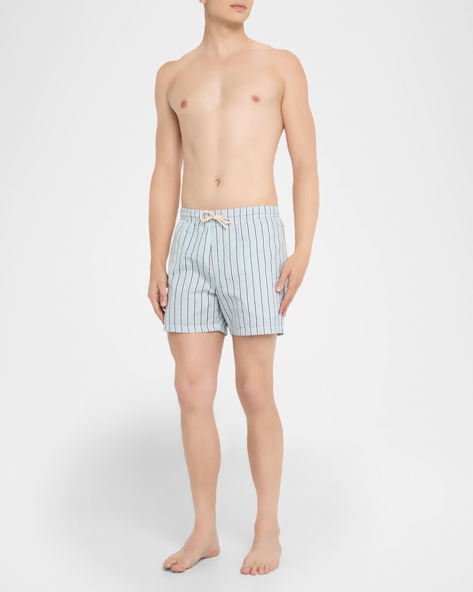Men's Daneu Stripe Swim Shorts Product Image