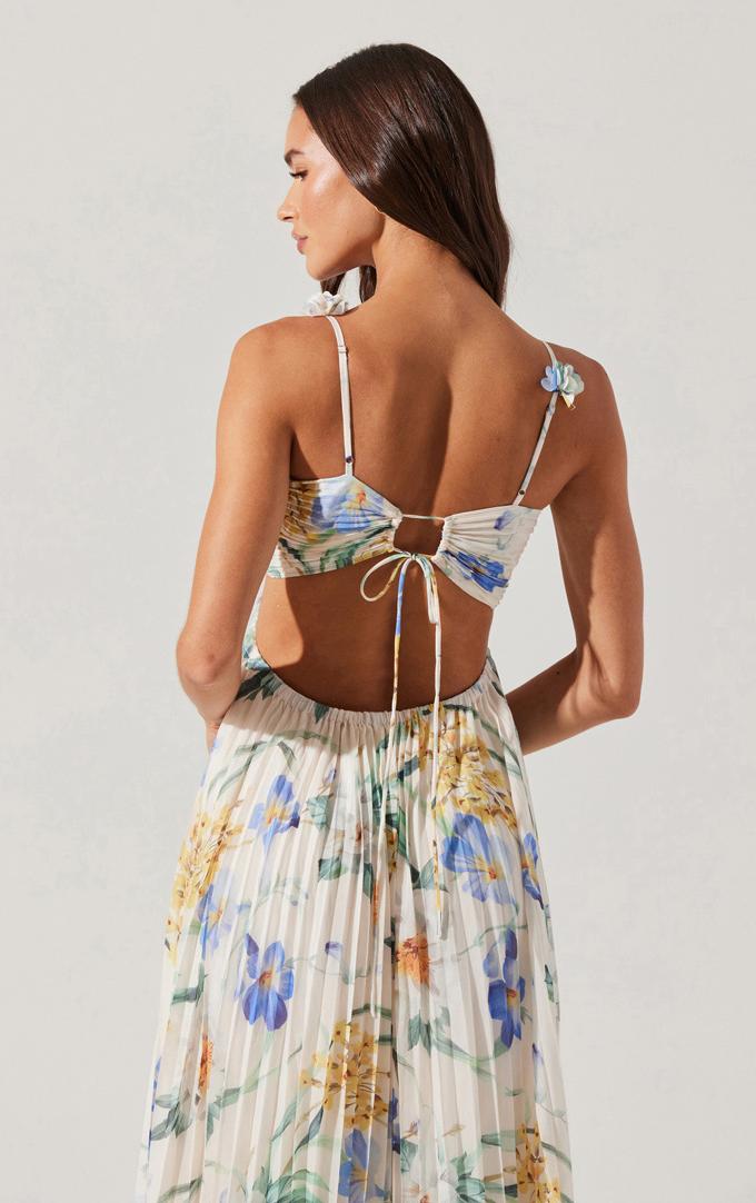 Kendall Dress Product Image