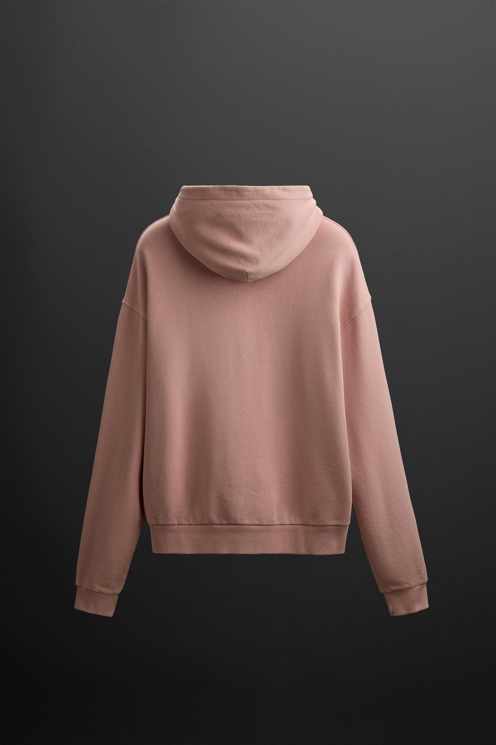 EMBROIDERED HOODIE SWEATSHIRT Product Image