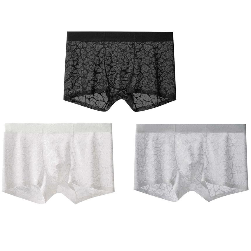 Lace Boxer Brief / Set Product Image