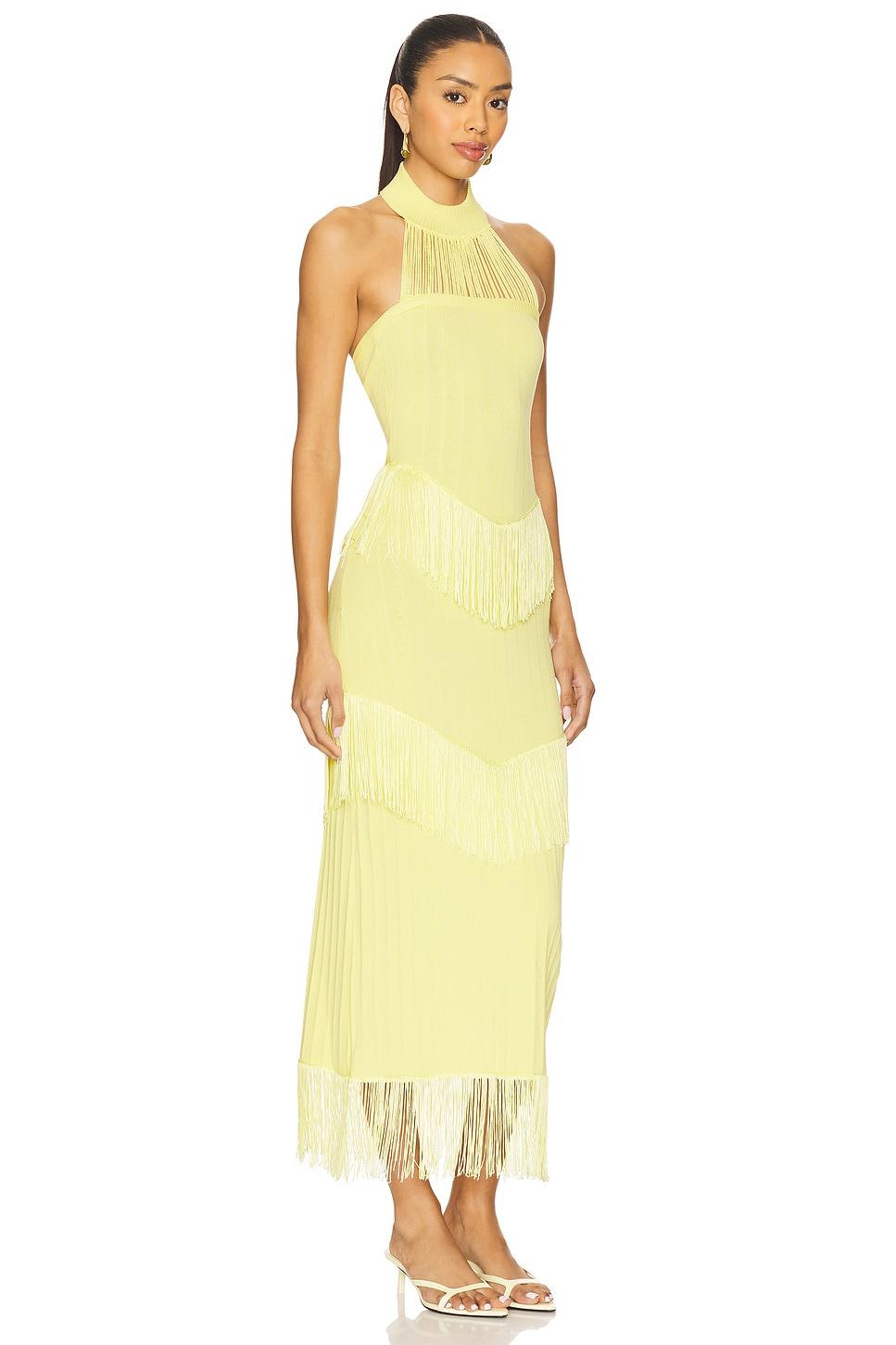 Lana Fringe Dress YLLW THE LABEL Product Image