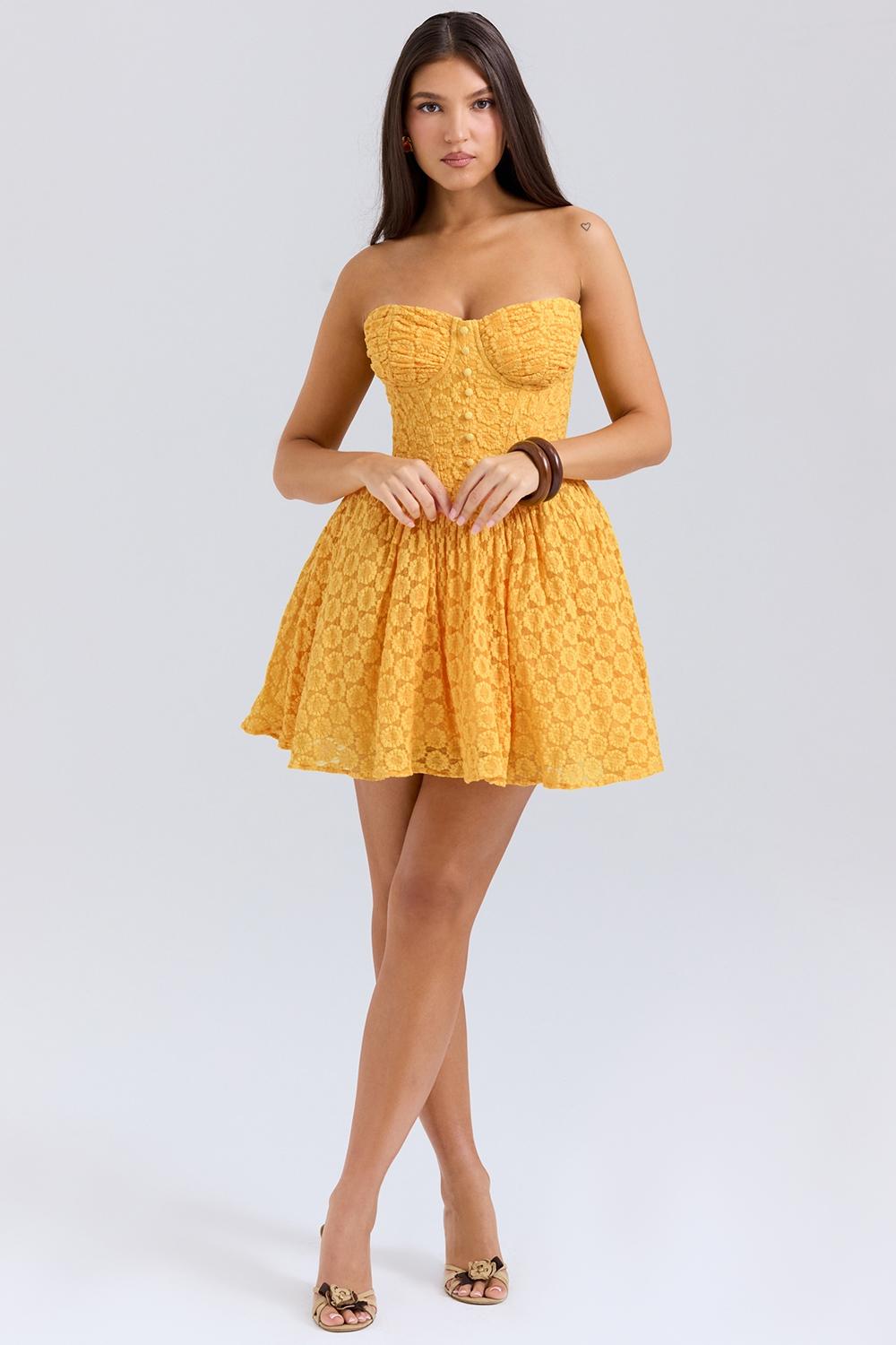 Carolina  apricot lace corset mini dress Product Image