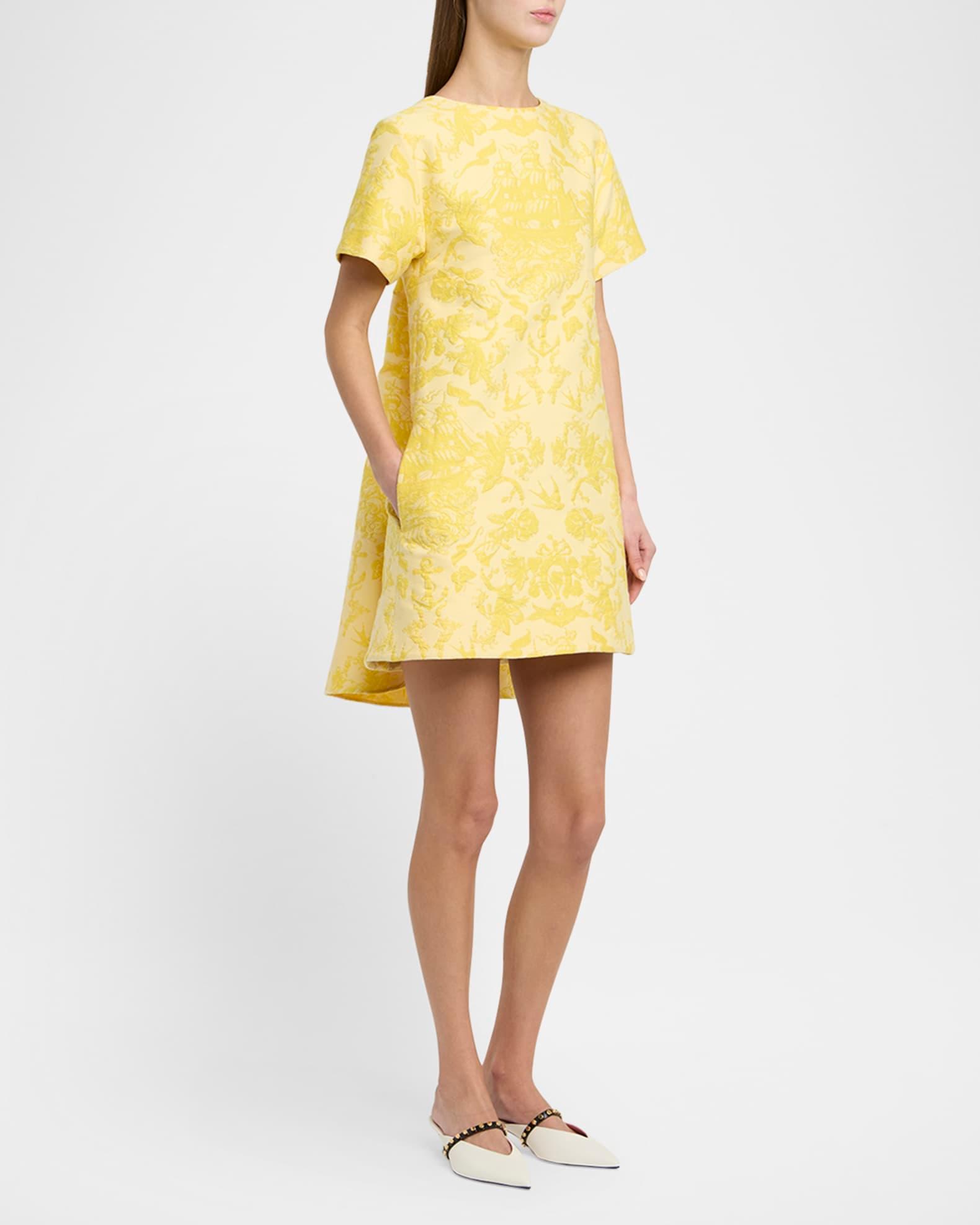 Jacquard Day Mini Dress Product Image
