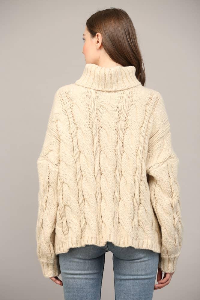 Cable Knit Turtleneck Product Image