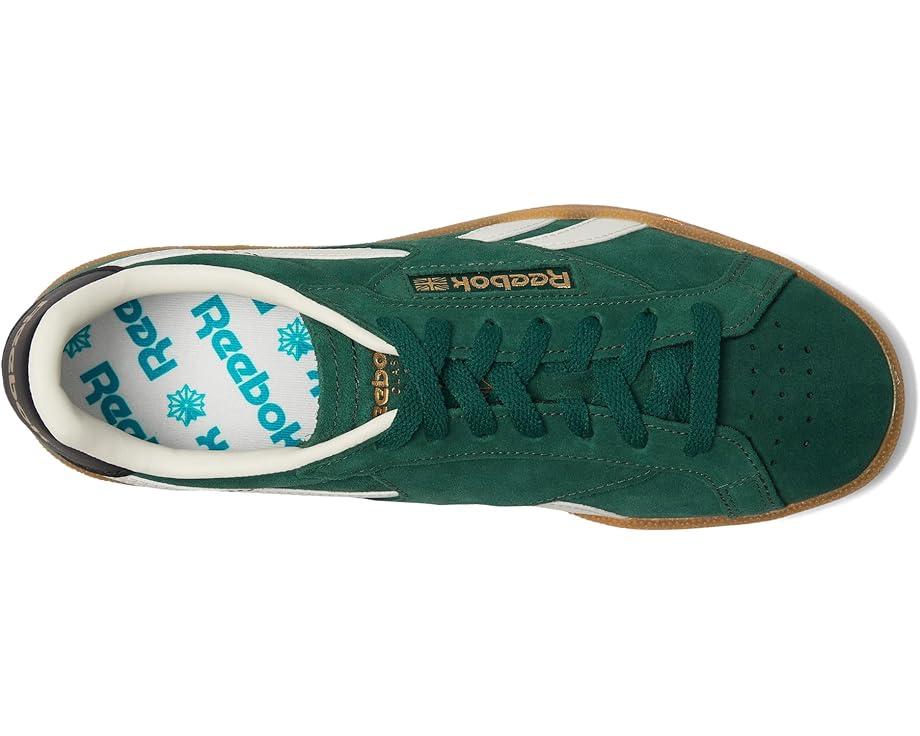 Campio XT Product Image