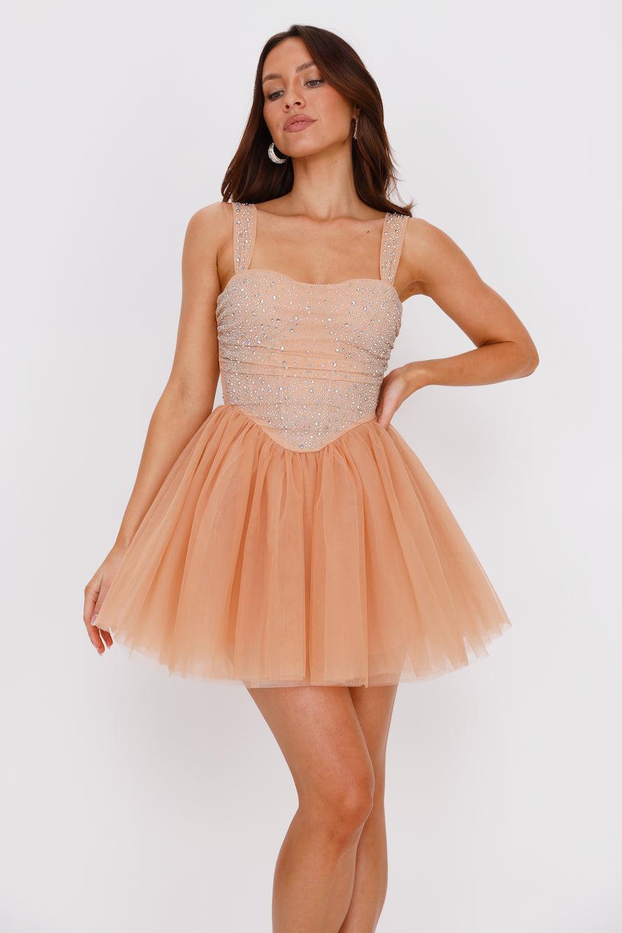 Lady Of The Palace Tulle Mini Dress Nude Product Image