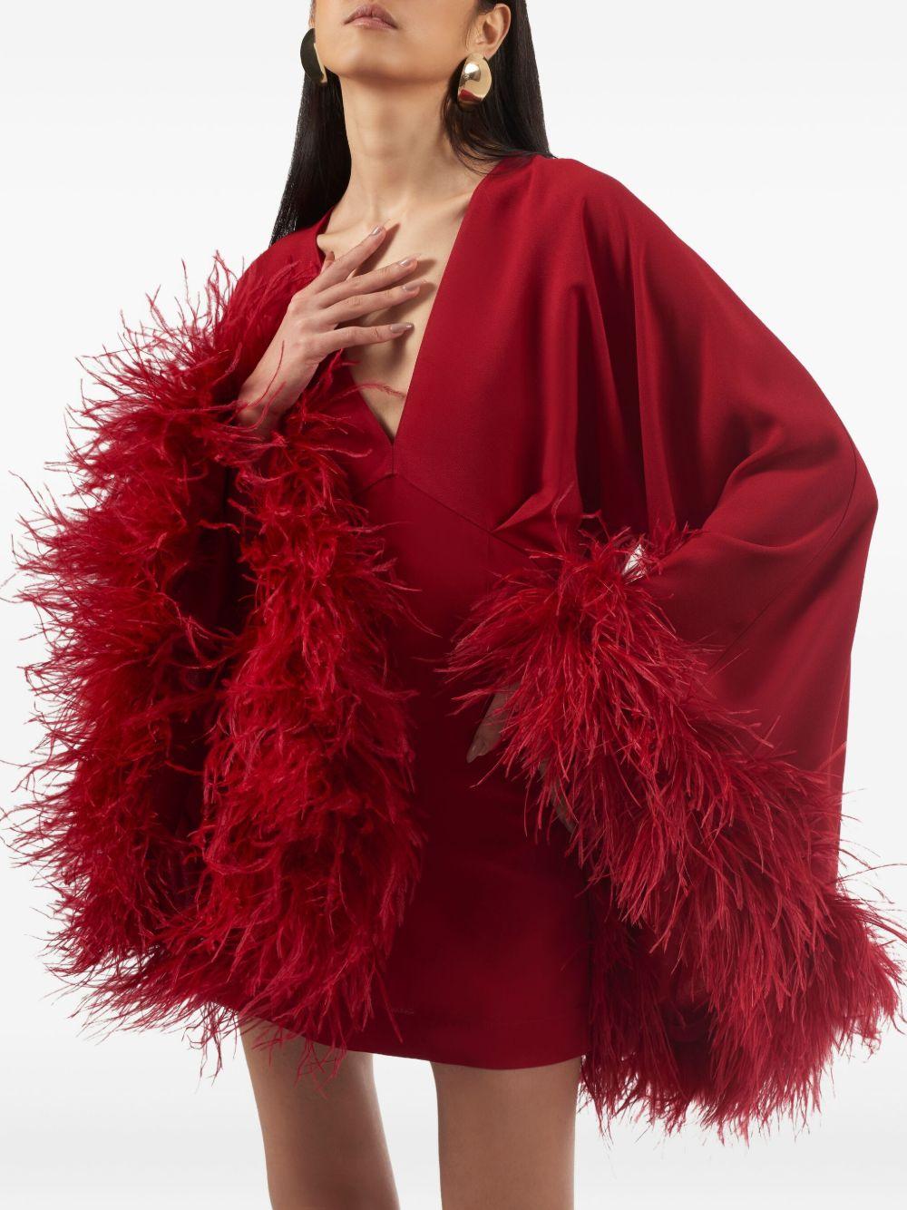 Magnifique feather-trimmed mini dress Product Image