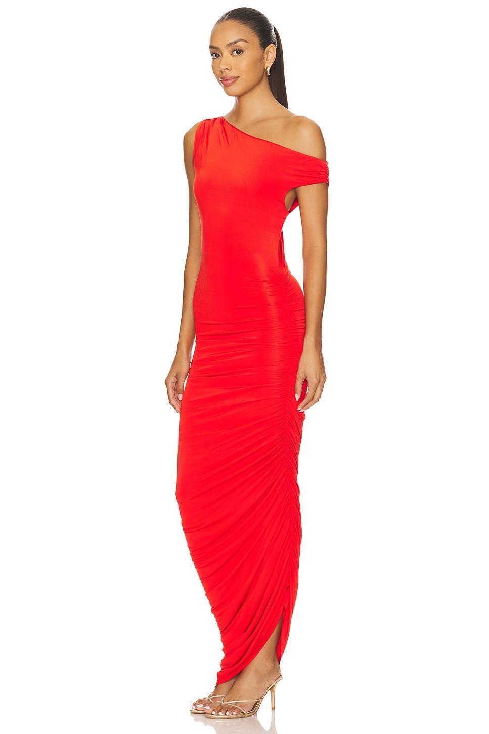 Elise Maxi Dress Lovers and Friends Product Image
