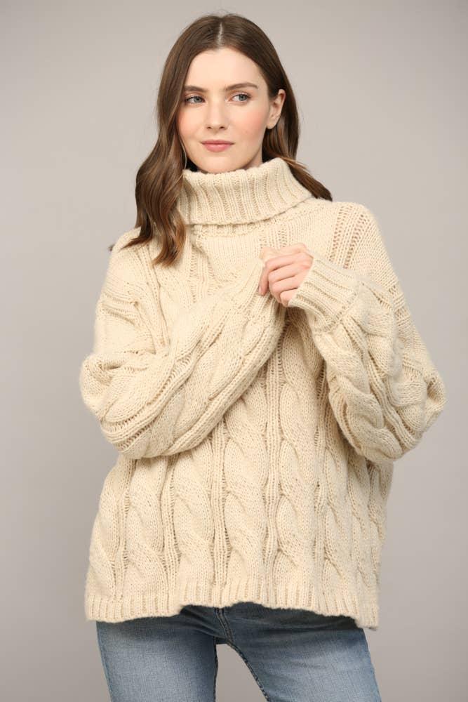 Cable Knit Turtleneck Product Image