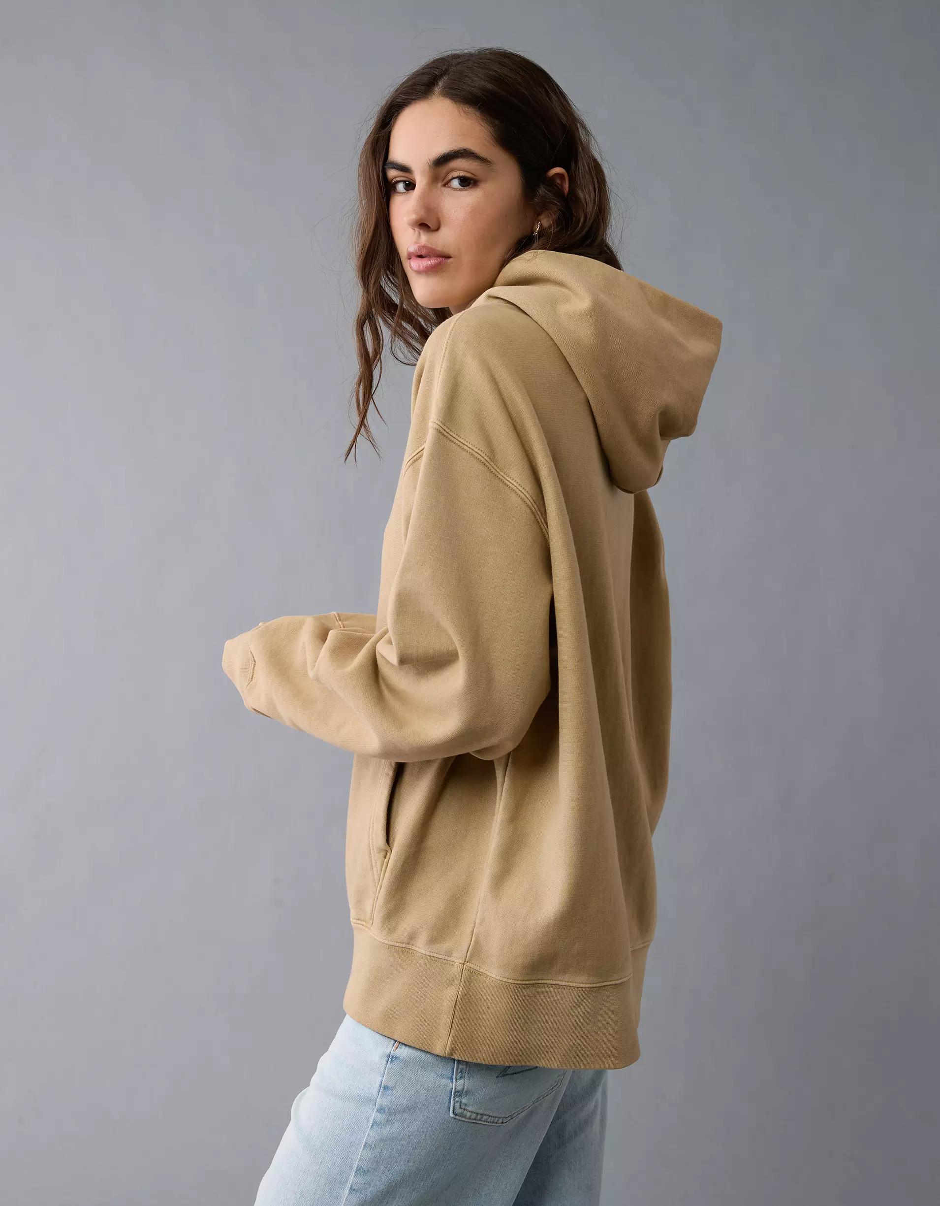 AE Laidback Luxe Heavyweight Hoodie Product Image