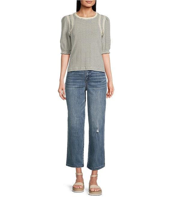 Democracy Knit Stripe Crochet Contrast Trim Crew Neck Elbow Sleeve Top Product Image