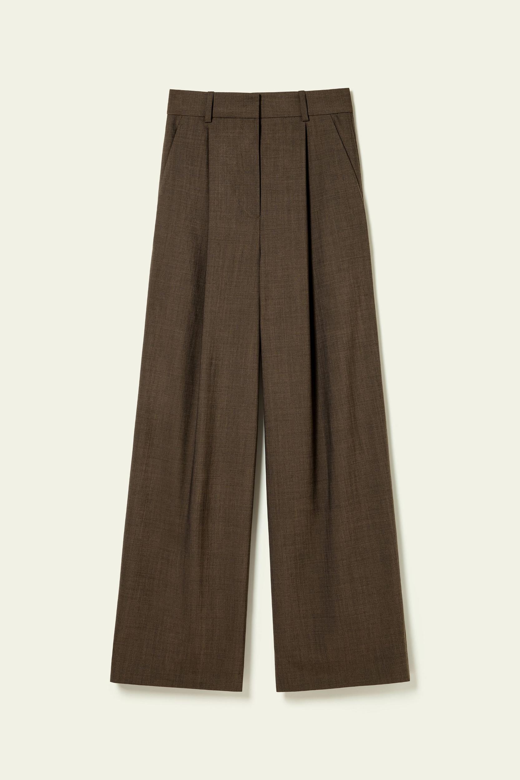 Front-Pleated Silk-Wool Blend Trousers Product Image