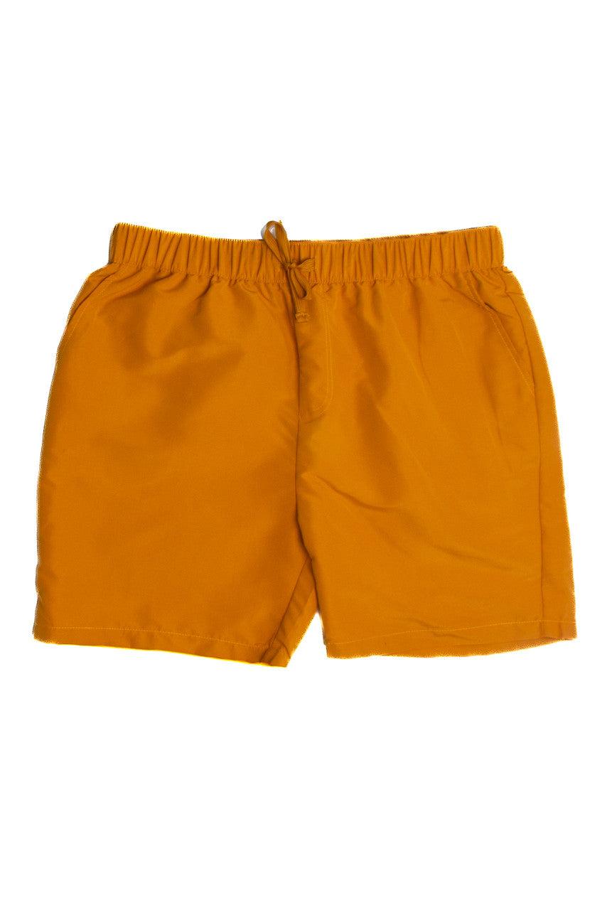 Pine Volley Shorts Product Image