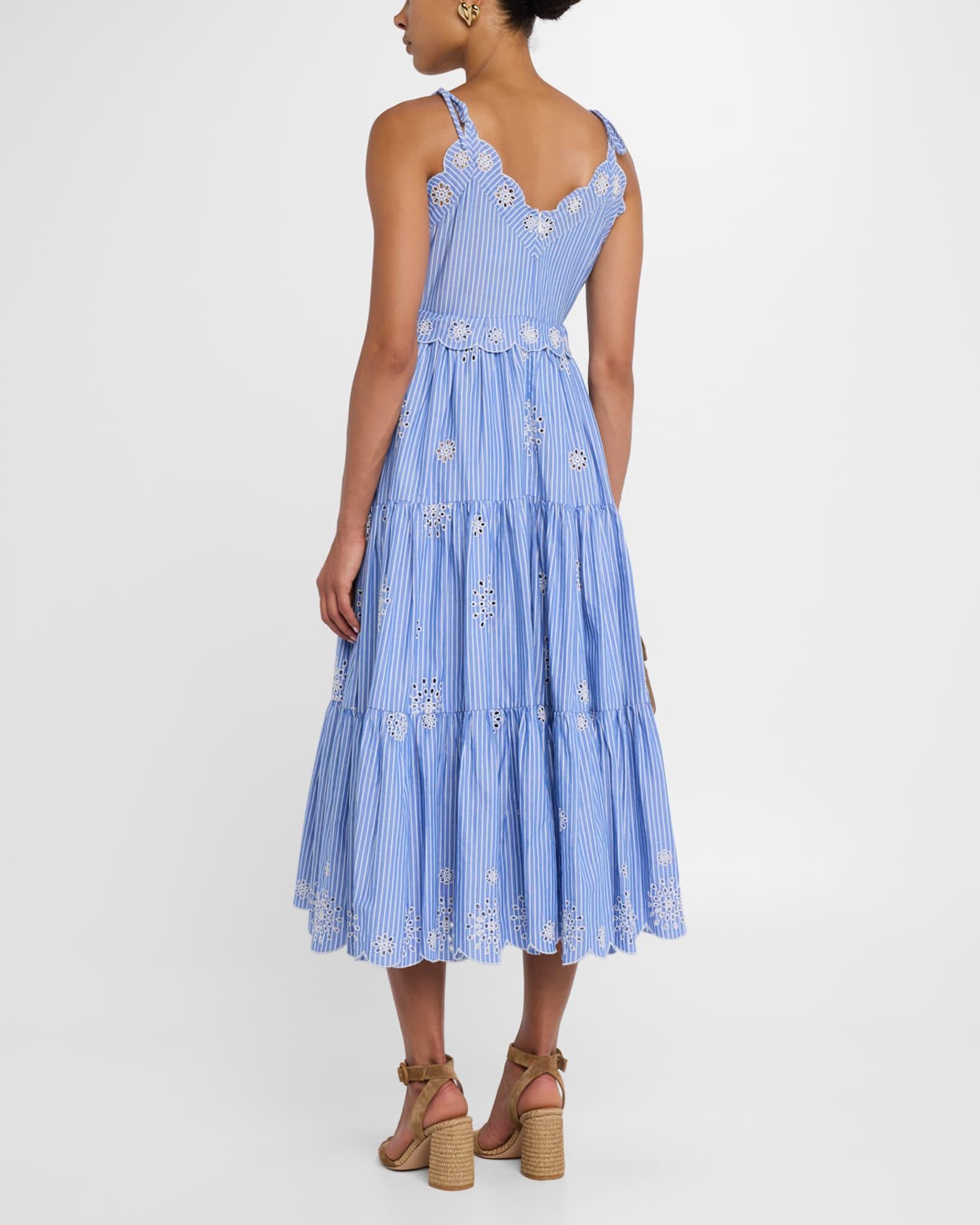 Darcey Pinstripe Embroidered Sleeveless Midi Dress Product Image