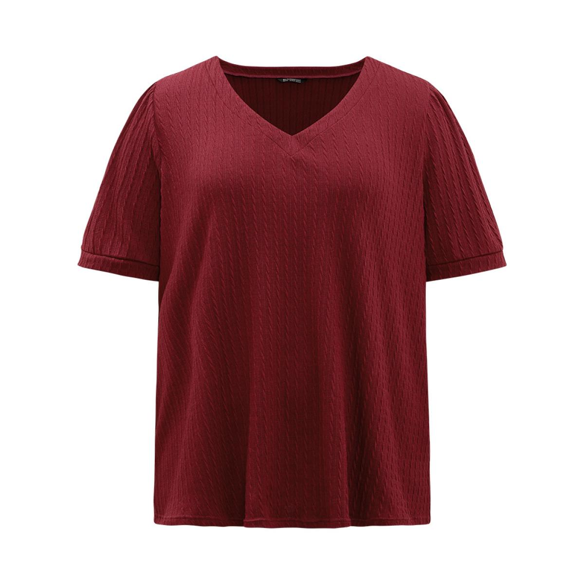 Plus Size Plain Texture V Neck Gathered Lantern Sleeve T-shirt Burgundy Women Casual Texture Plain V-neck Dailywear T-shirts BloomChic 22-24/3X Product Image