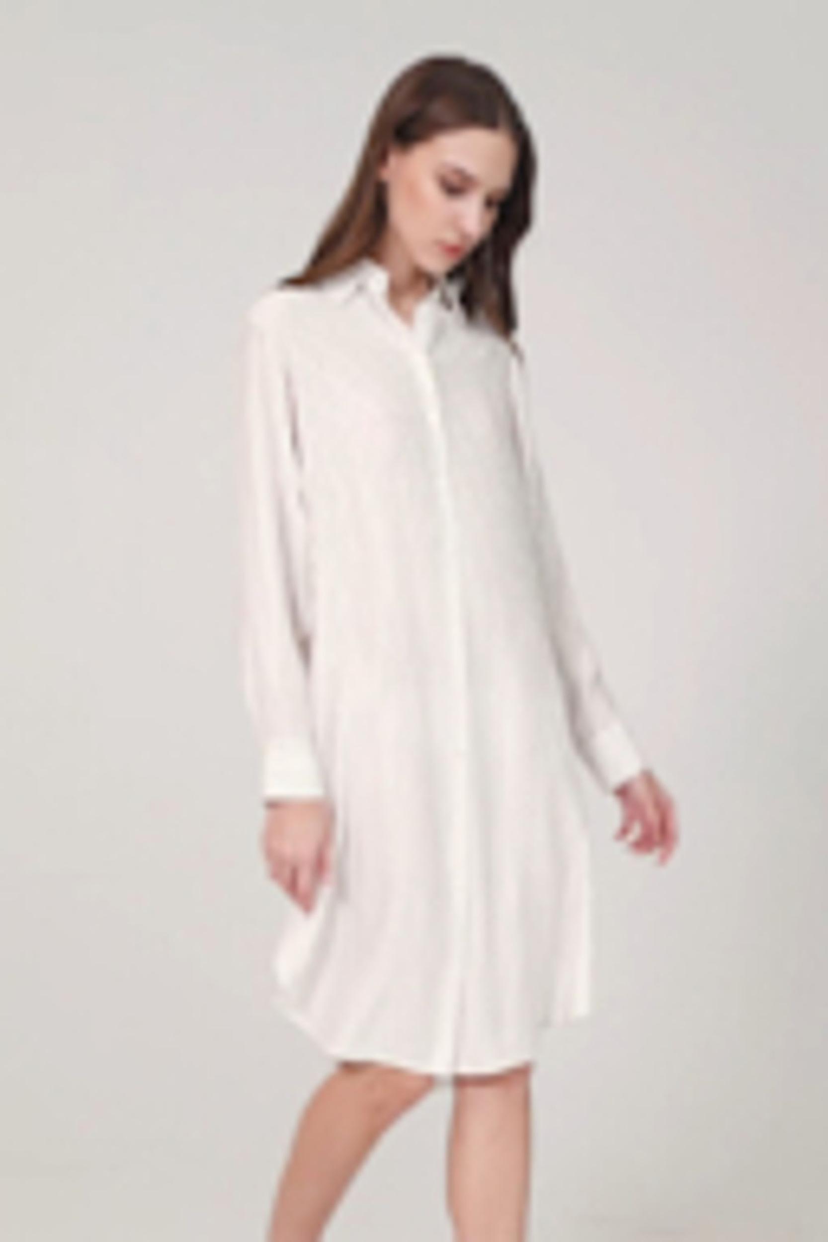 Pinstriped Freesia Shirt Dress Product Image