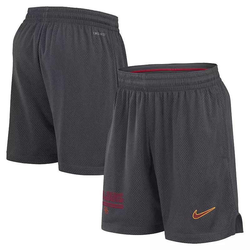 Mens Nike Anthracite USC Trojans 2024 Sideline Mesh Shorts Product Image