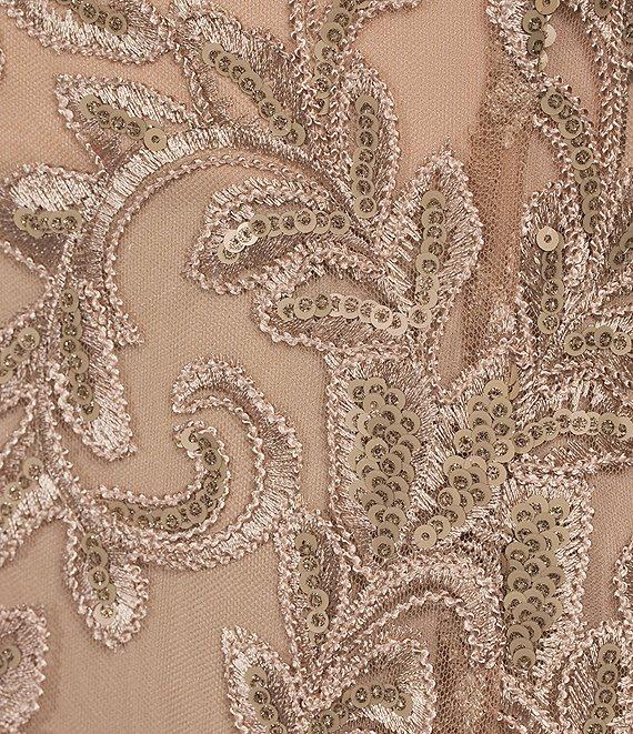 Alex Evenings Illusion Round Neck Sleeveless Embroidered Lace Shawl A-Line Dress Product Image