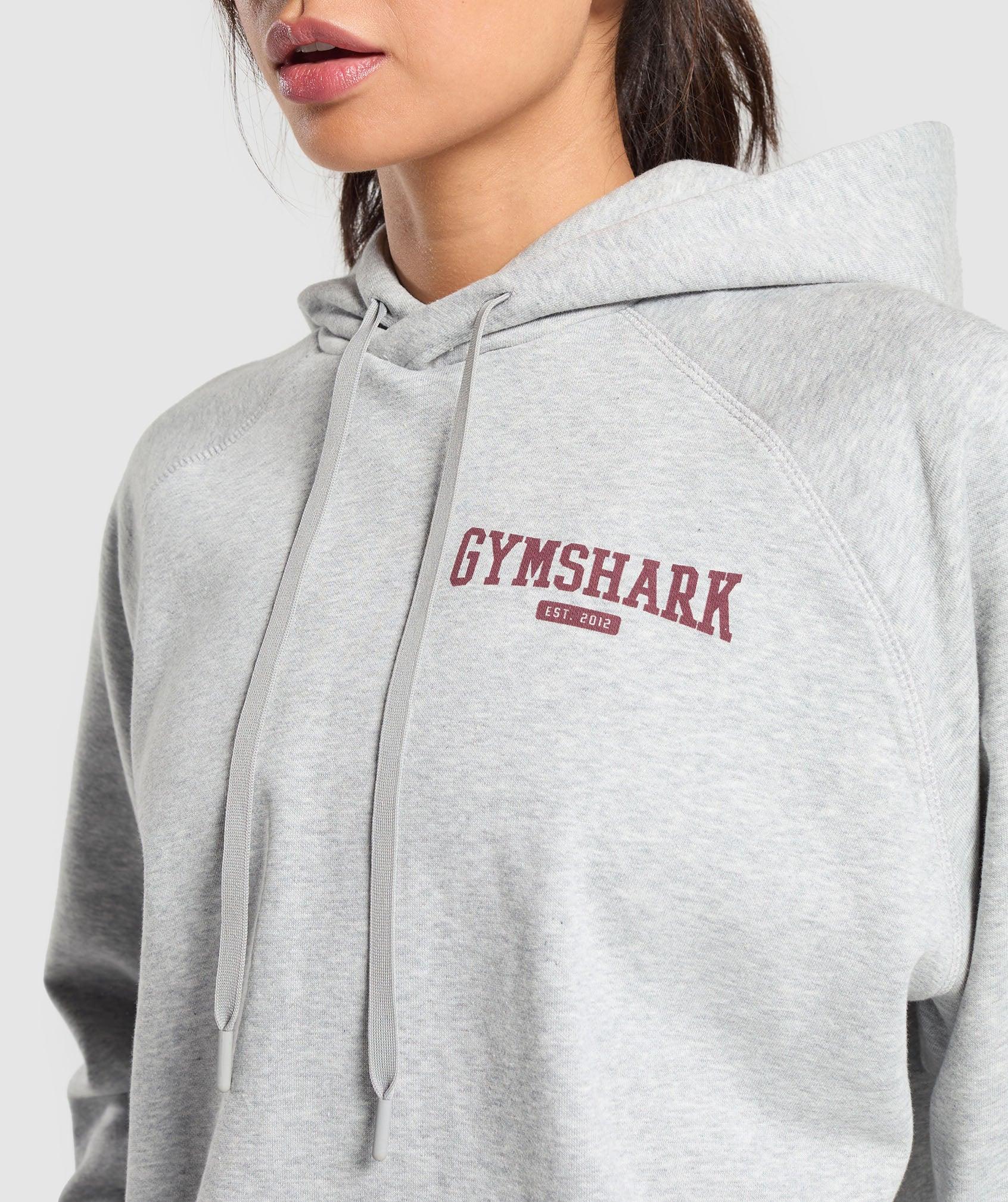 Collegiate Lifestyle Hoodie Product Image