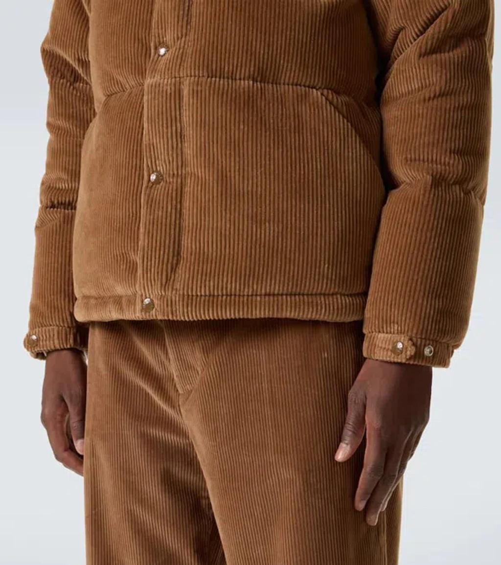 MONCLER Short Puffer Jacket Serrant In Ribbed Velvet In Brown Product Image
