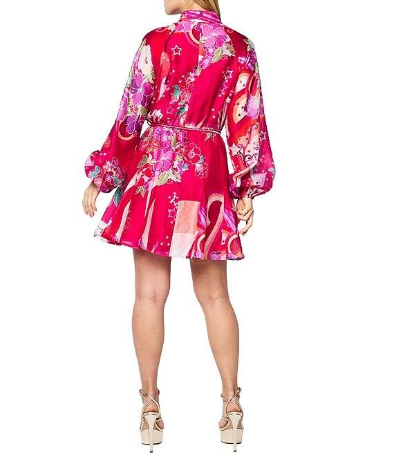 CIEBON Nylah Mandarin Collar Long Sleeve Printed Mini Dress Product Image