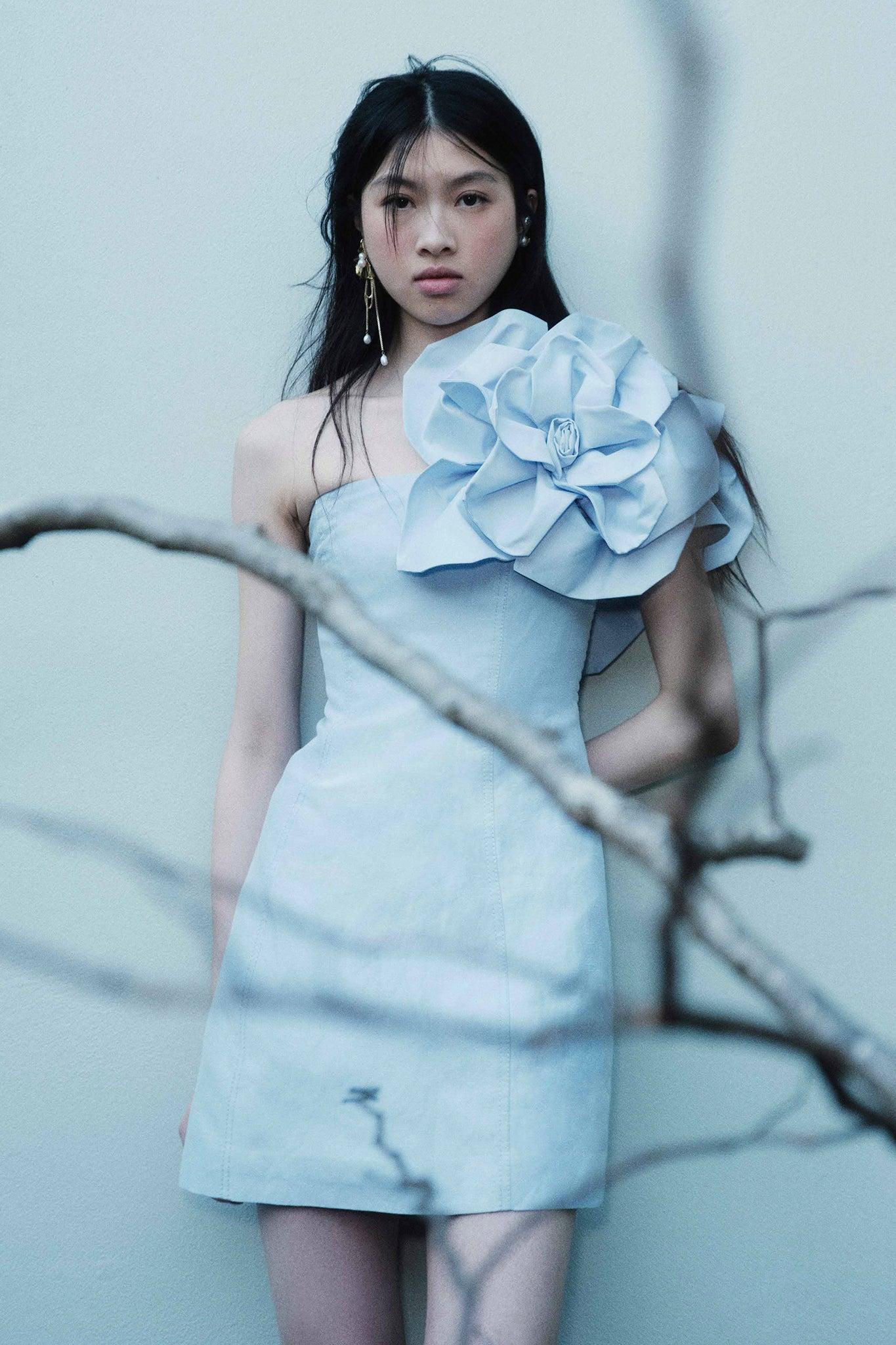 Florence Mini Dress Product Image