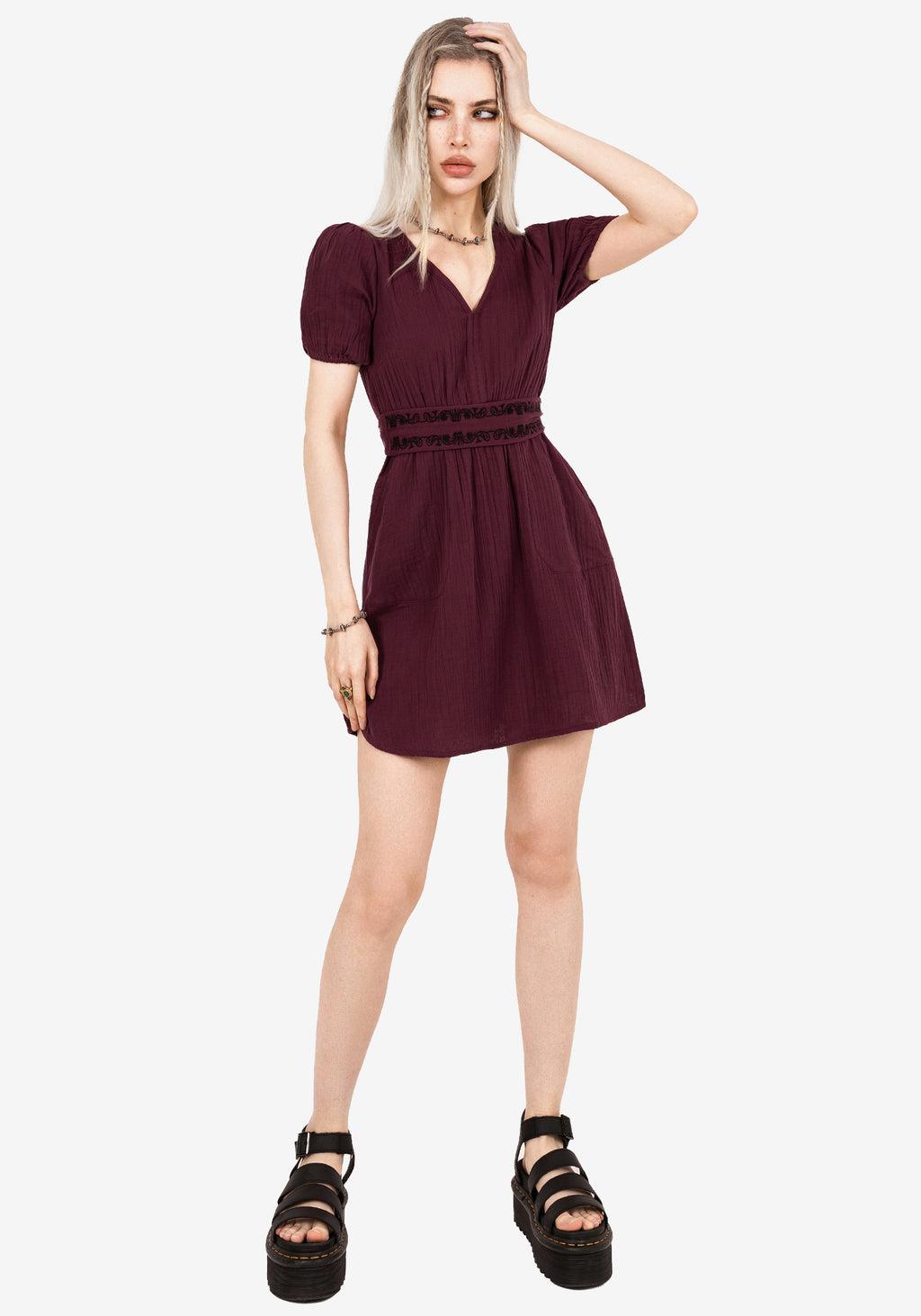 Poultice Embroidered Cotton Mini Dress Product Image