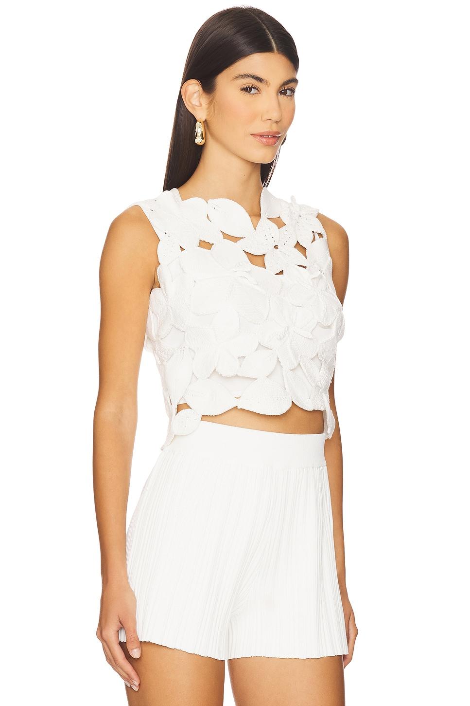 Harrington Knit Top Cult Gaia Product Image