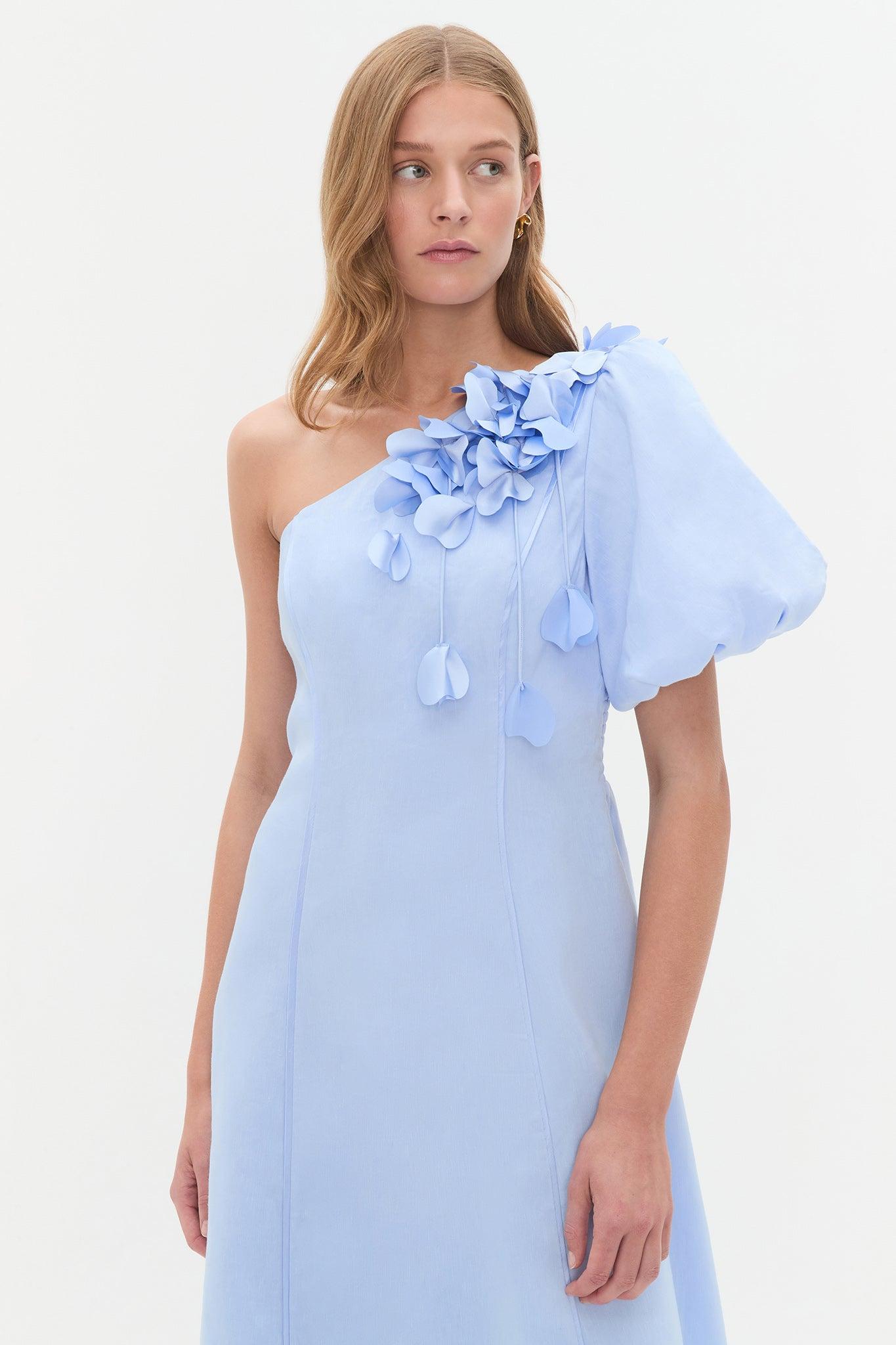 Camille Midi Dress Product Image