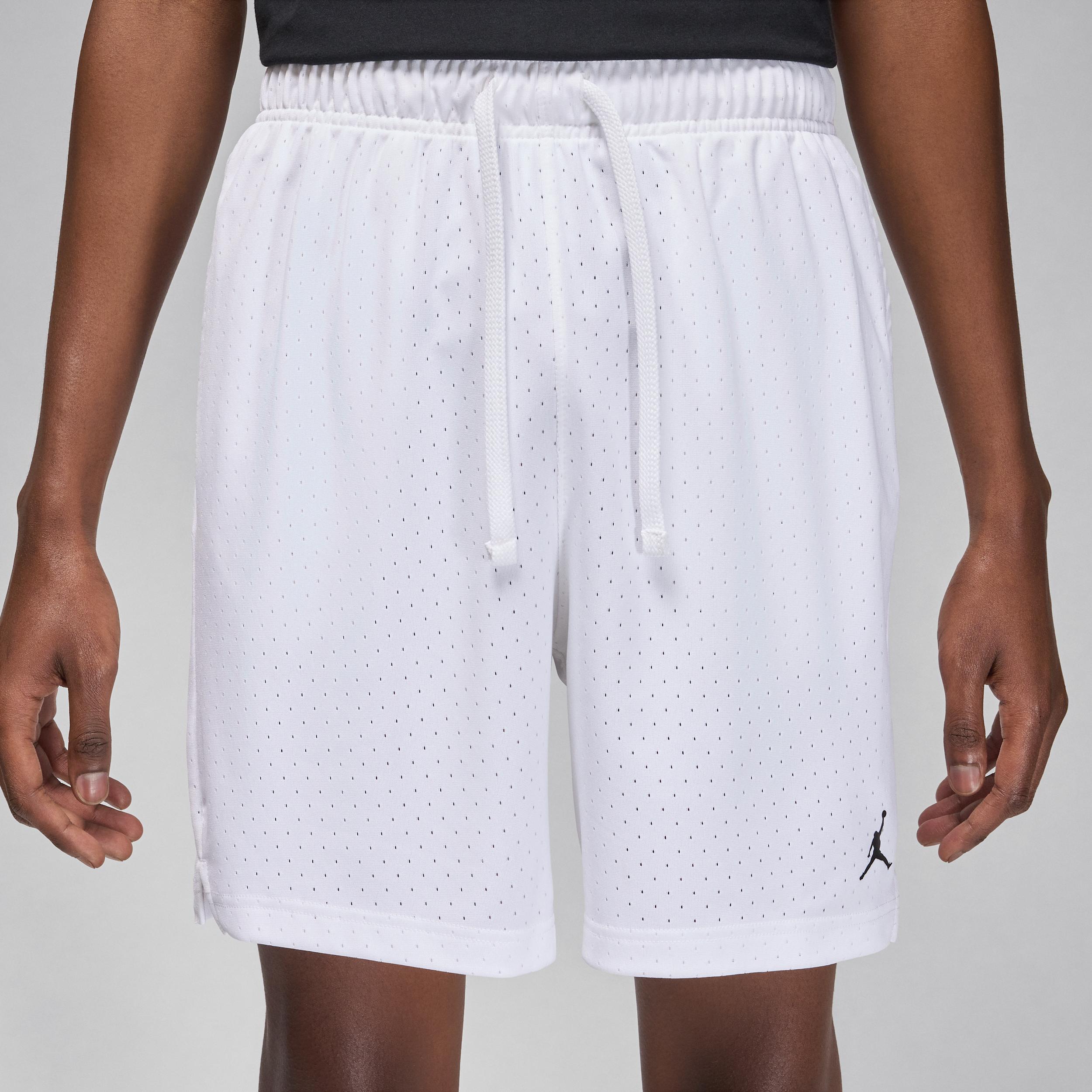 Men's Jordan Sport Dri-FIT Mesh Shorts Product Image