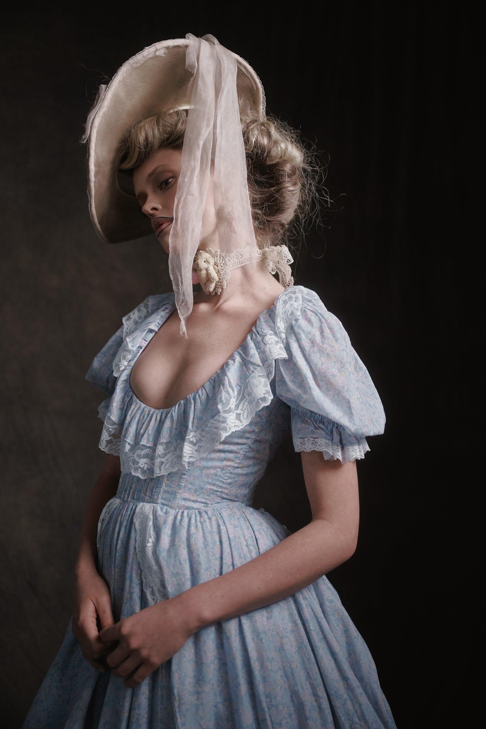 The Prairie Nellie Gown Product Image