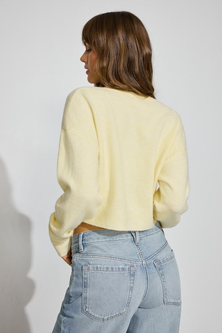 Renee Spongy Cropped Cardigan Product Image