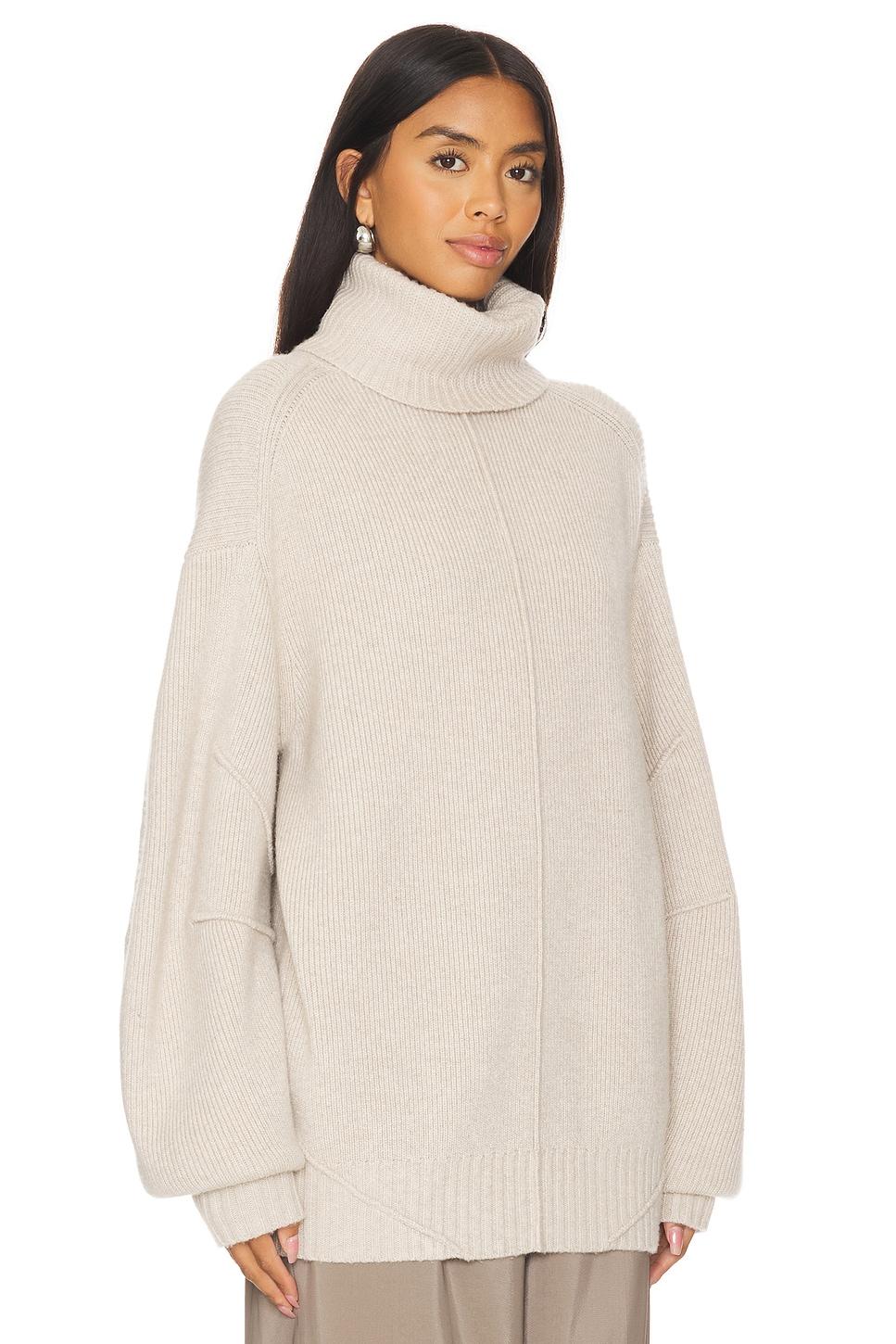 Apex Chunky Turtleneck Helmut Lang Product Image