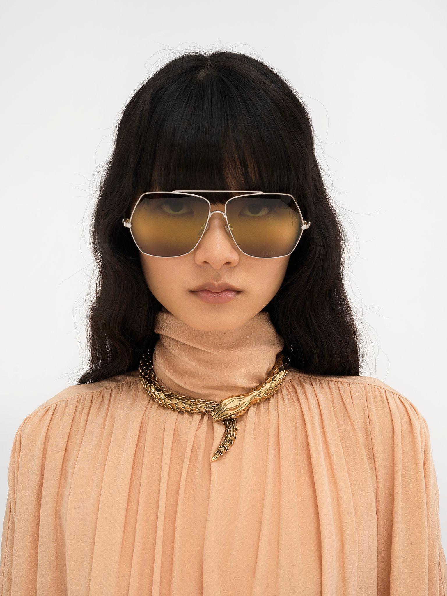 The Chloé Snake necklace Product Image