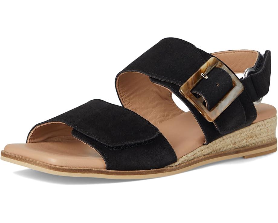 Timeless Life Product Image