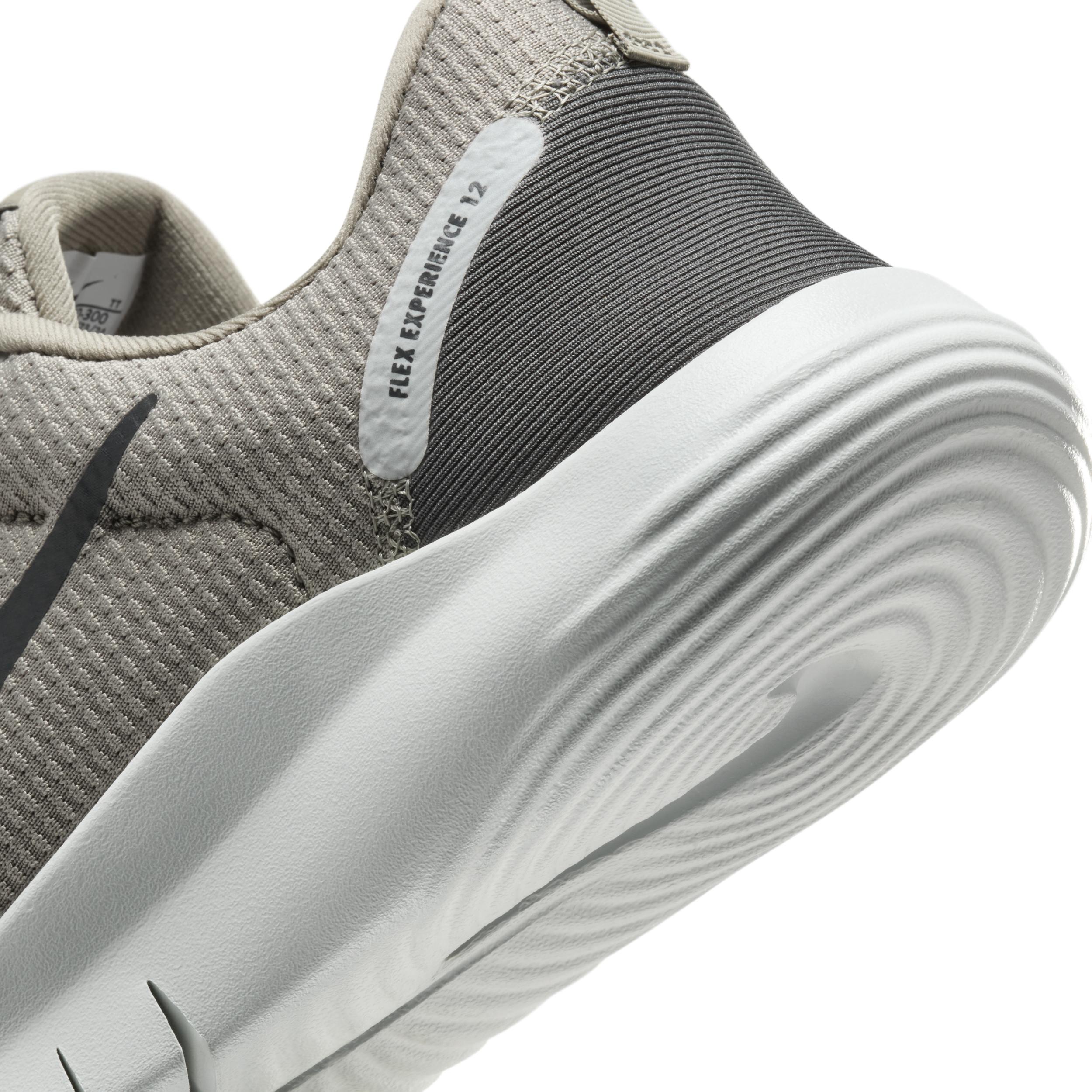 Nike Mens Flex Experience Run 12 Road Running Shoes | DV0740-300 Product Image