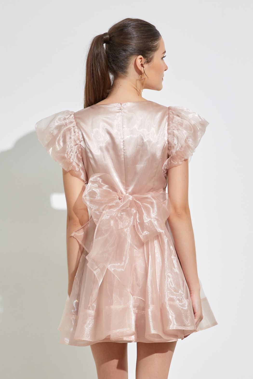 Organza Ruffle Dress Product Image