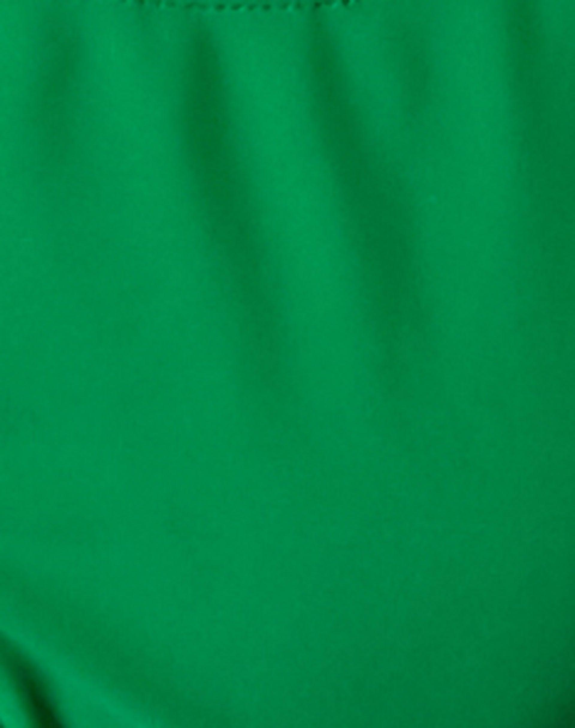 Farida Bikini Bottom in Green Product Image