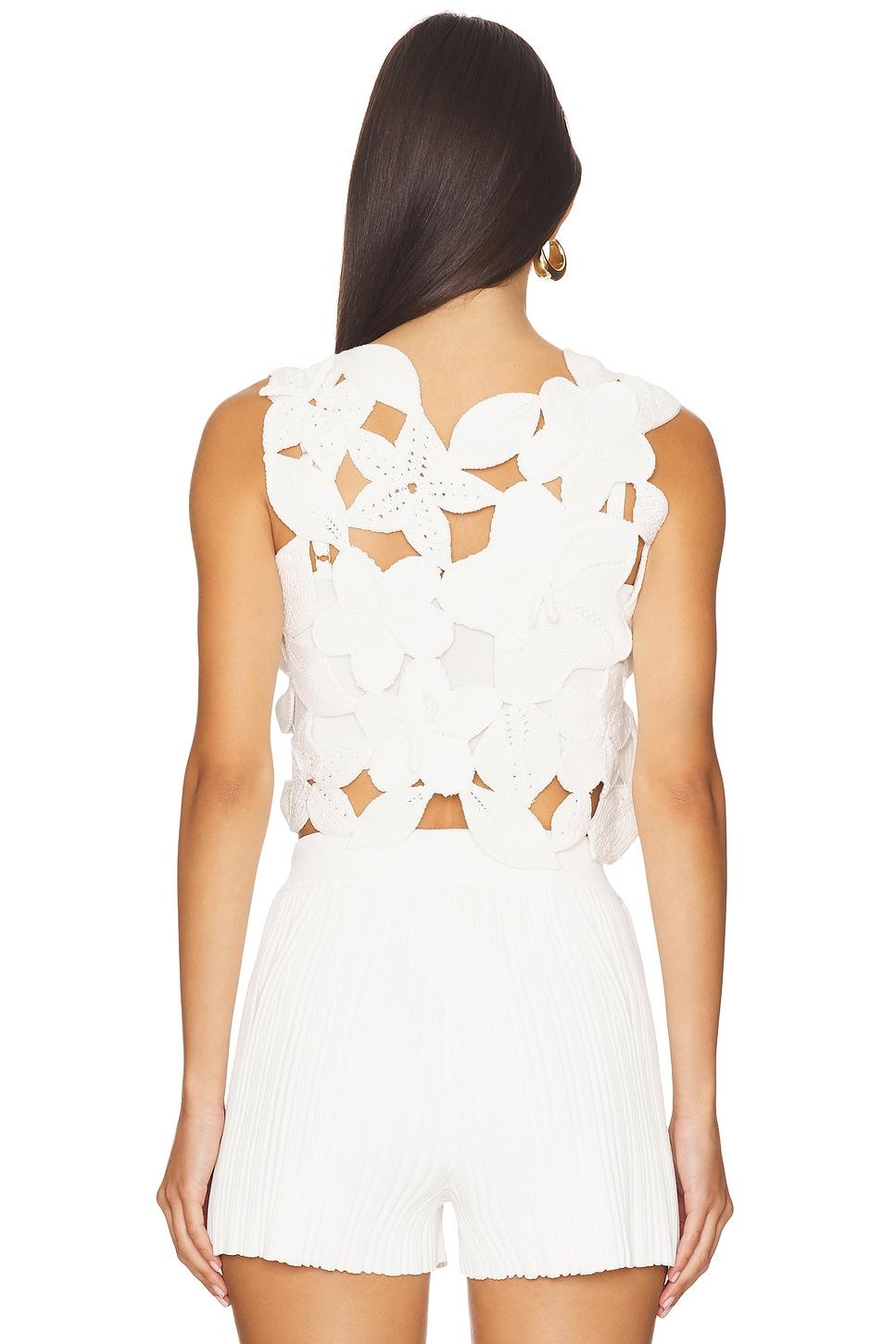 Harrington Knit Top Cult Gaia Product Image