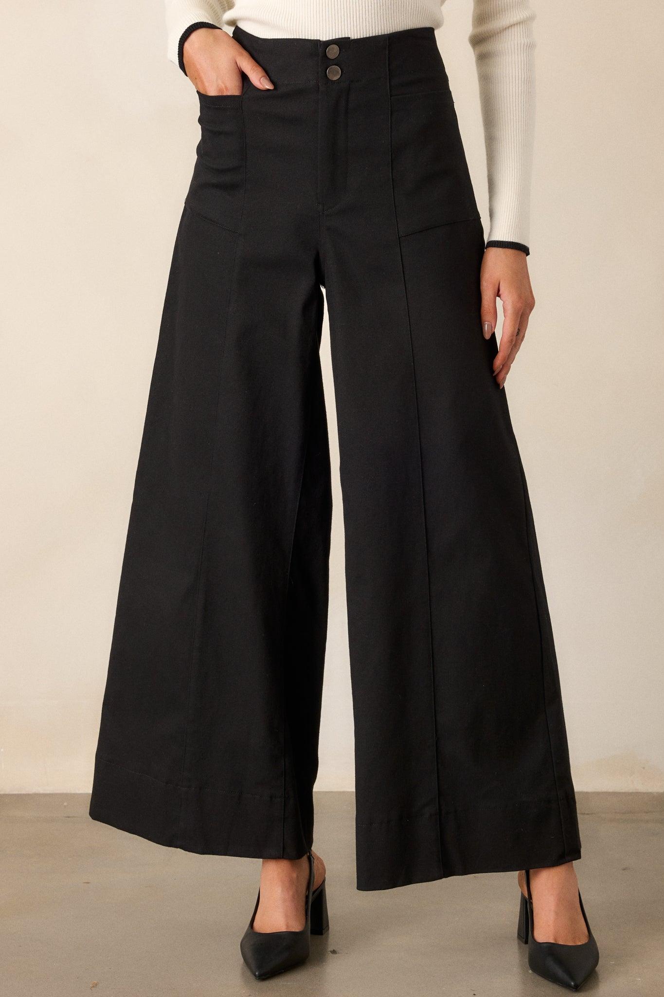 Daylight Glimmer Black Wide Leg Pants Product Image