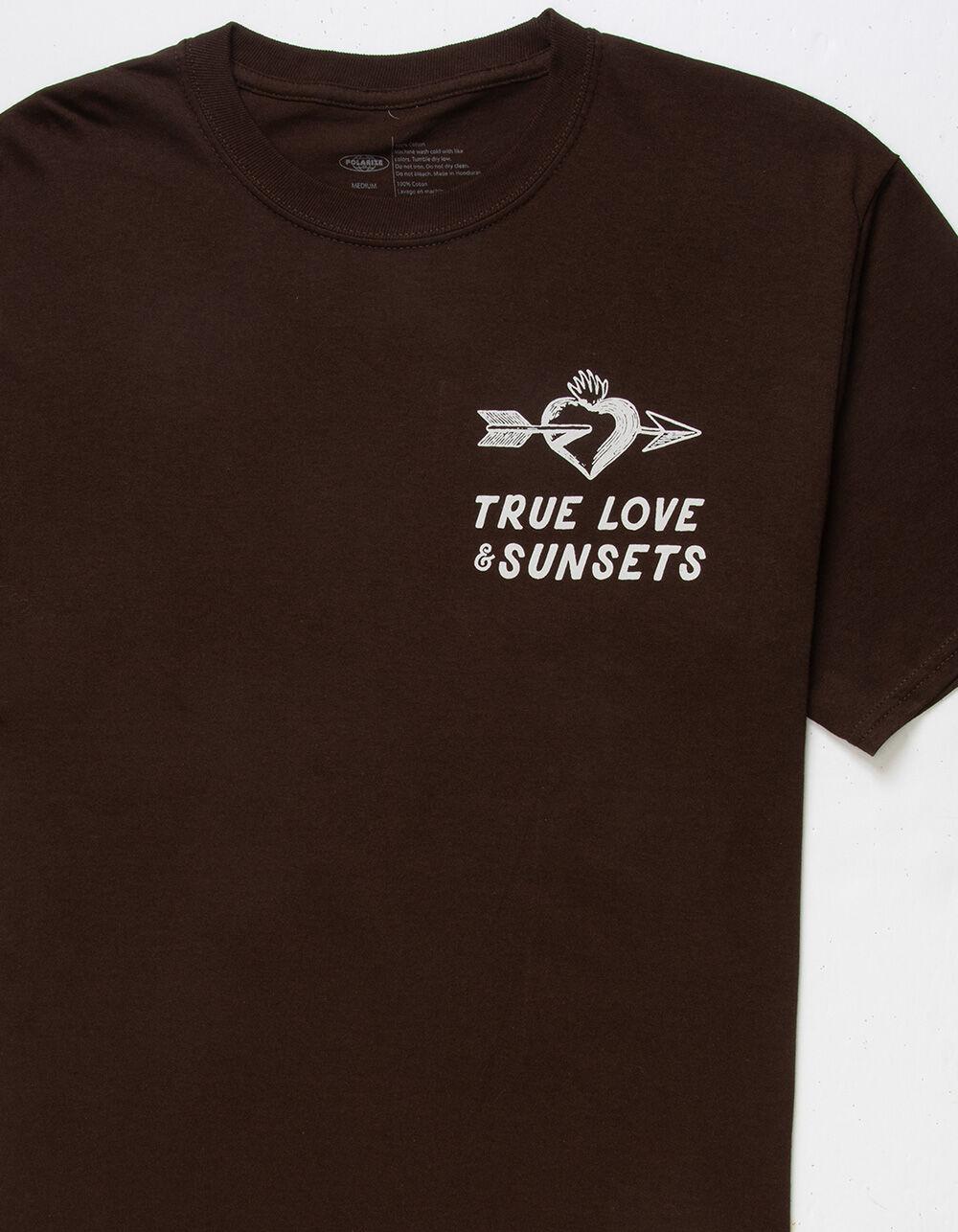 POLARIZE True Love Mens Tee - BROWN Product Image