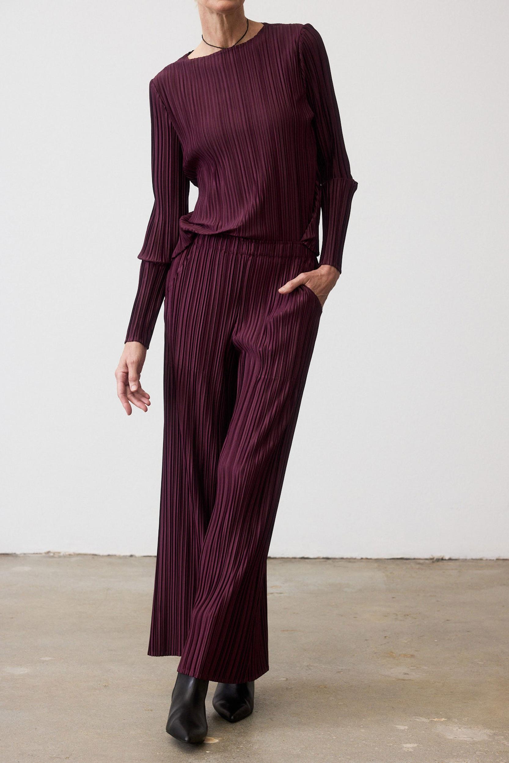 Relaxed Pleated Pants Product Image