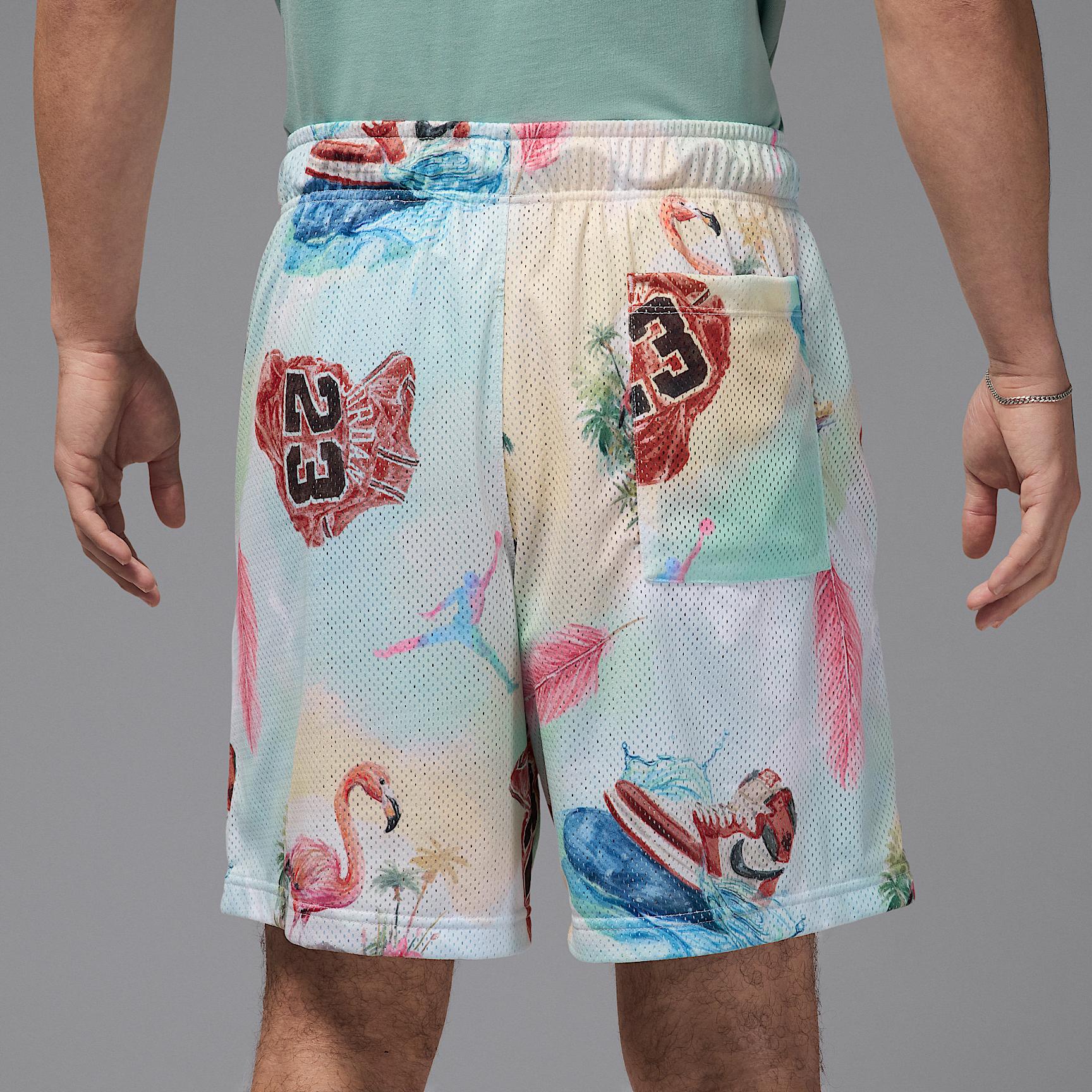 Mens Jordan Essentials Printed Mesh Shorts | IB3012-133 Product Image