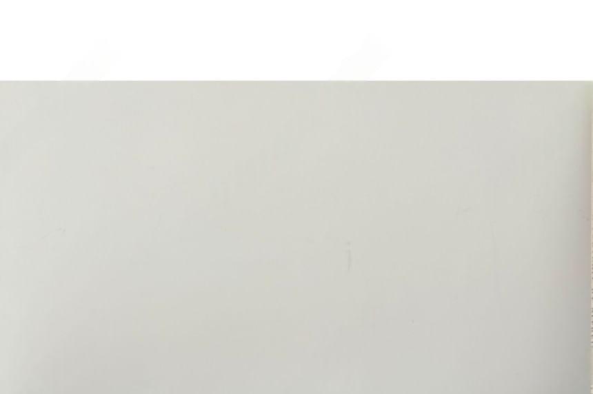 Pointed Bow Flats Product Image