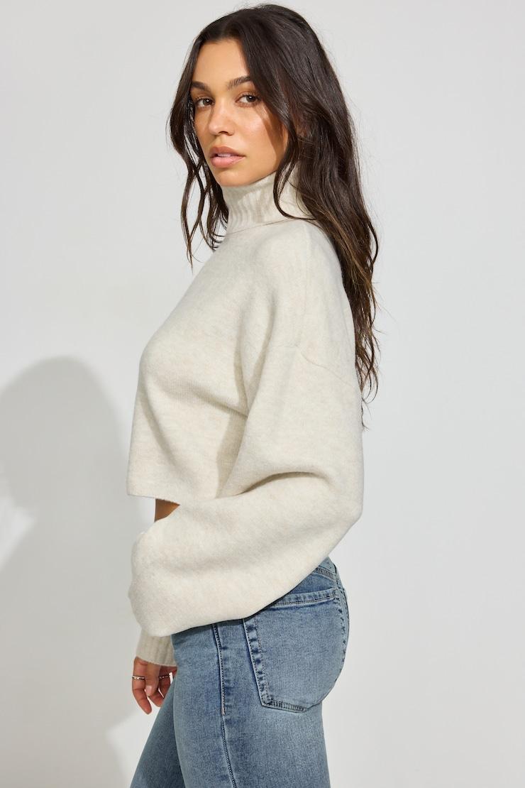 Spongy Cropped Turtleneck Product Image