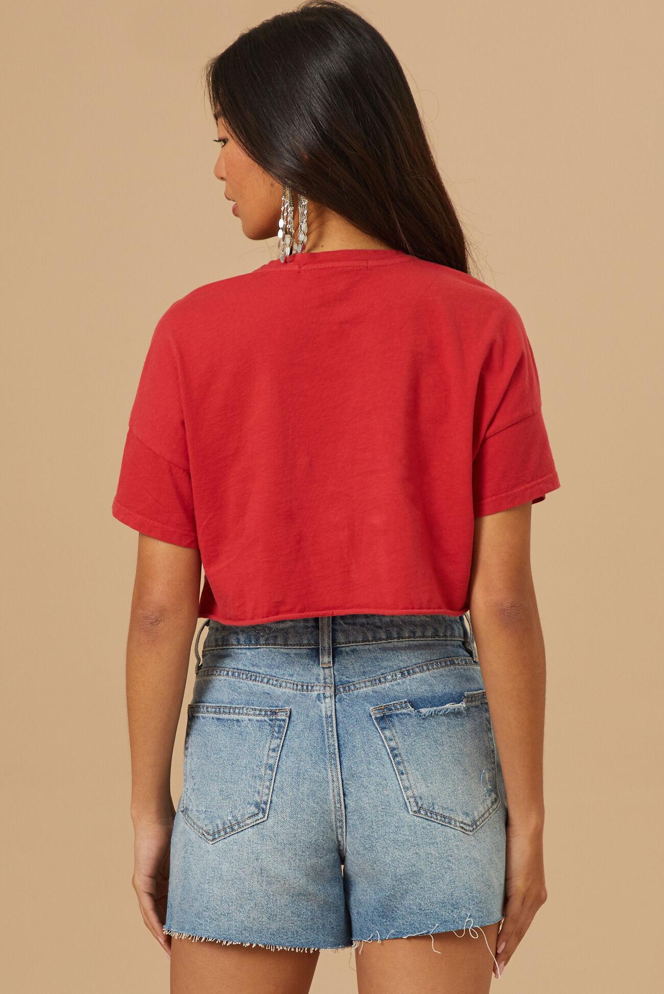 USA Cropped Graphic Tee Product Image