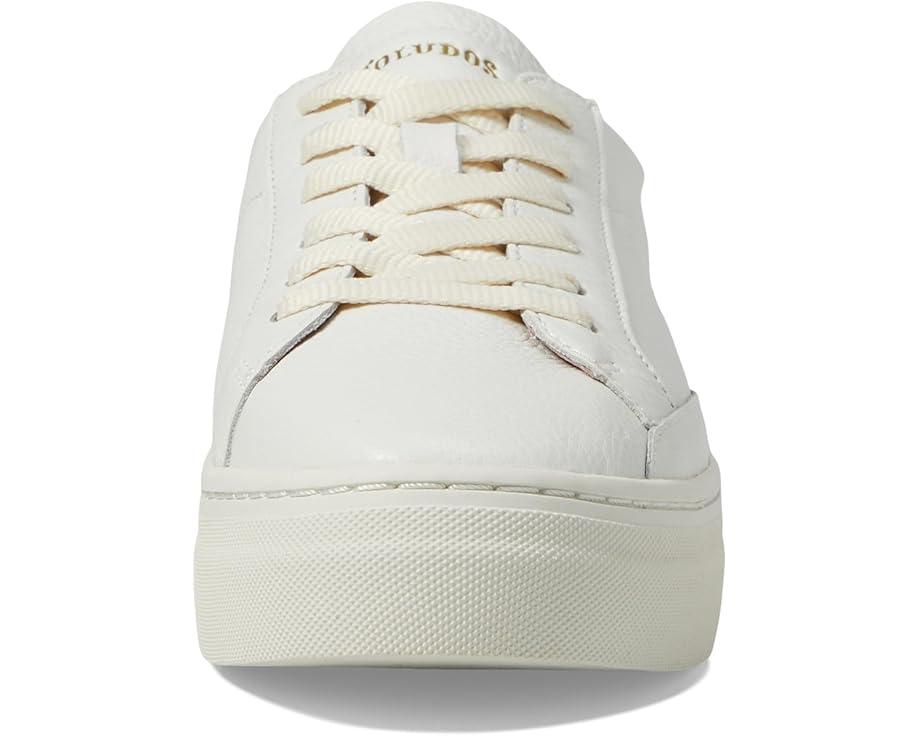Roma Sneaker Product Image