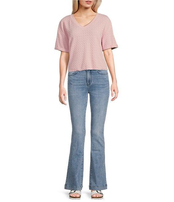 Moa Moa Striped V-Neck Short Sleeve Cropped Top Product Image