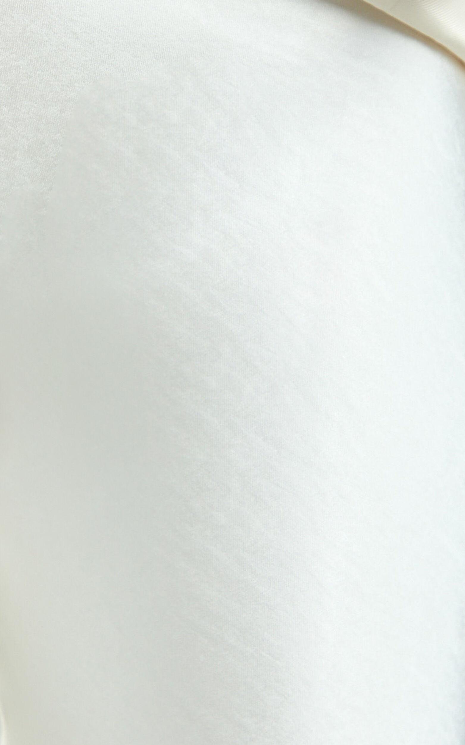 Jagger Pants - Flared Bias Cut Pants in Pearl Product Image