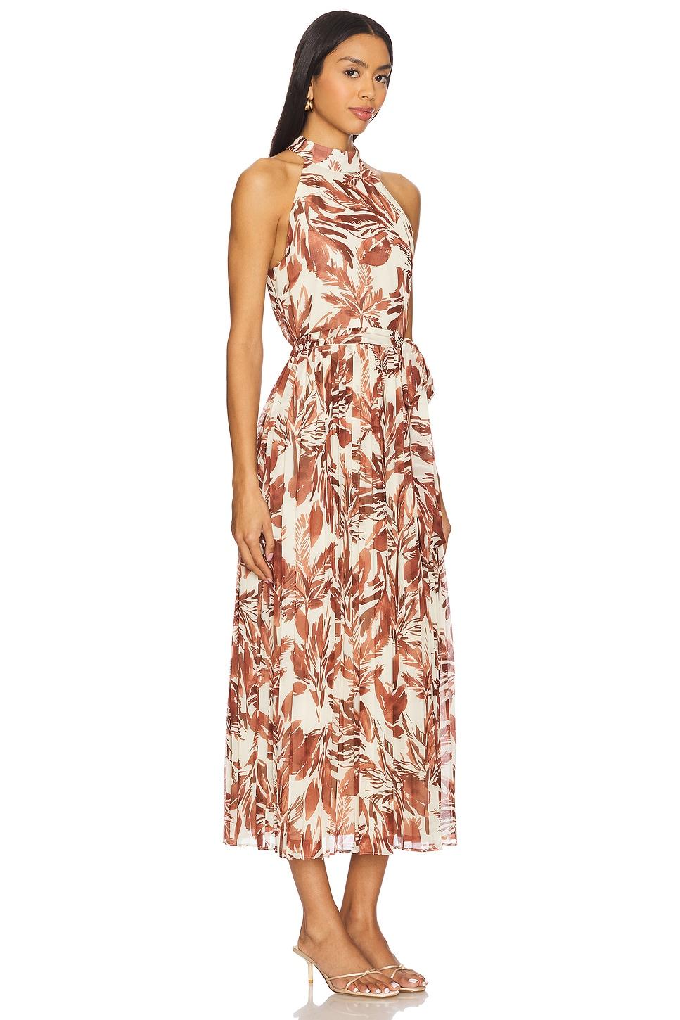 Rosemary Dress Steve Madden Product Image
